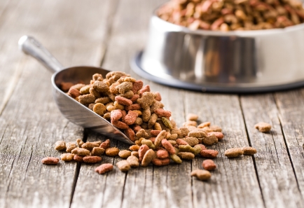 Tasty and nourishing food is prepared twice daily