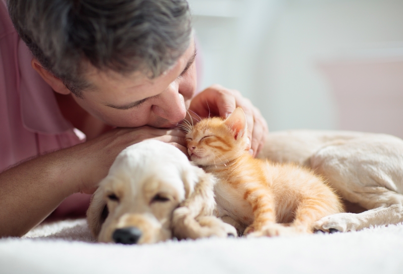 AdobeStock_287231138