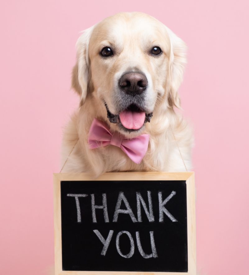 AdobeStock_485583075
