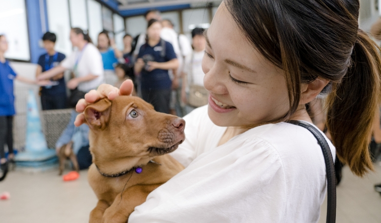 Adoption_Pic_2
