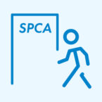 Spca_cuts_01visit Spca_cuts_01visit
