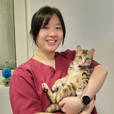 Tina Tse Profile Picture