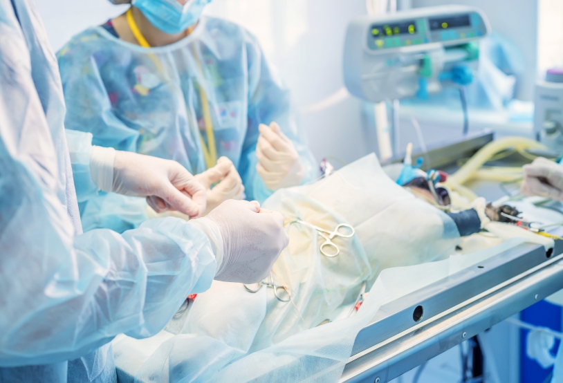 veterinary-doctors-conducting-surgery-2021-08-26-19-56-56-utc