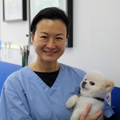 Ada Loi Profile Picture
