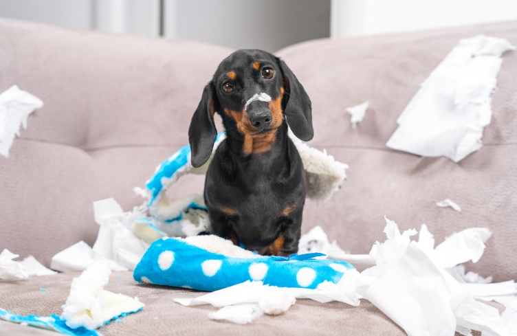 AdobeStock_402662840