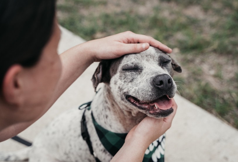 AdobeStock_508820744