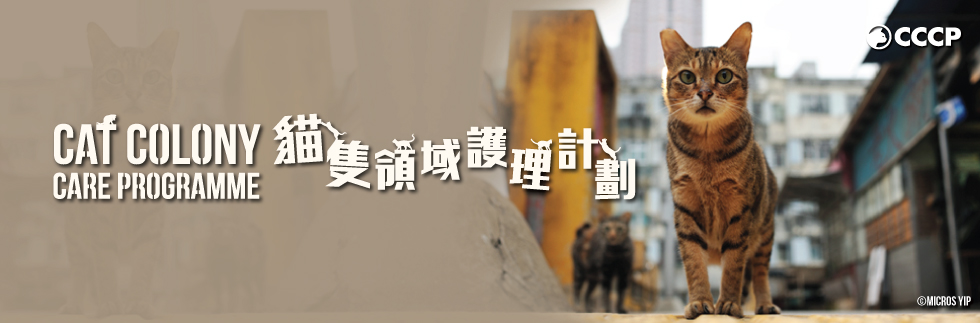 CCCP_wbanner_980x323