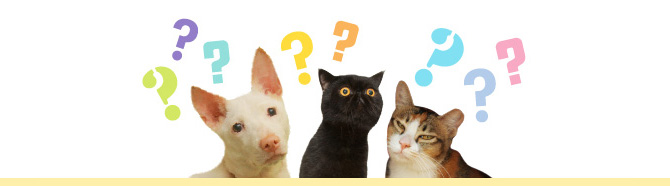 asp_faq_top_banner