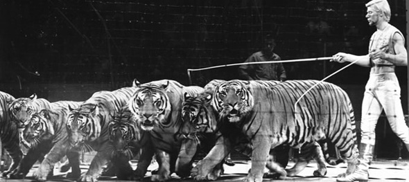 circus