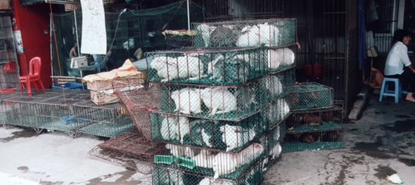 fur-trade2