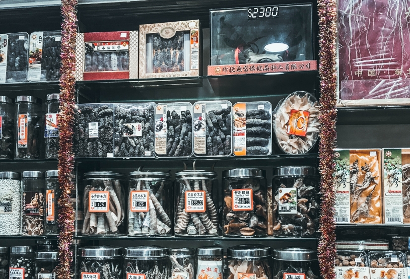naja-bertolt-jensen-CBIERxam00s-unsplash