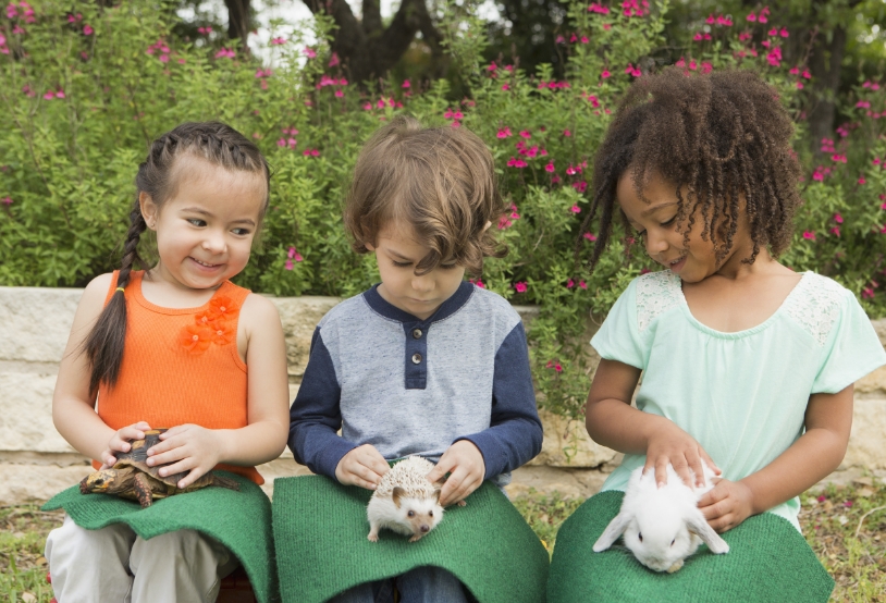 three-children-seated-in-a-row-each-with-a-small-2022-03-04-02-31-59-utc