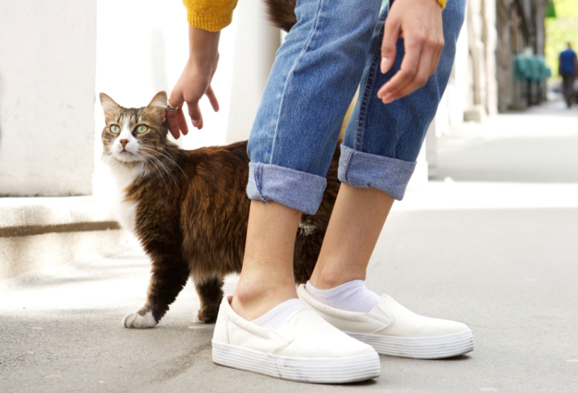 young-woman-playing-with-a-cat-on-city-street-2021-08-26-23-05-22-utc