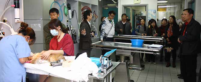 Vets_visit