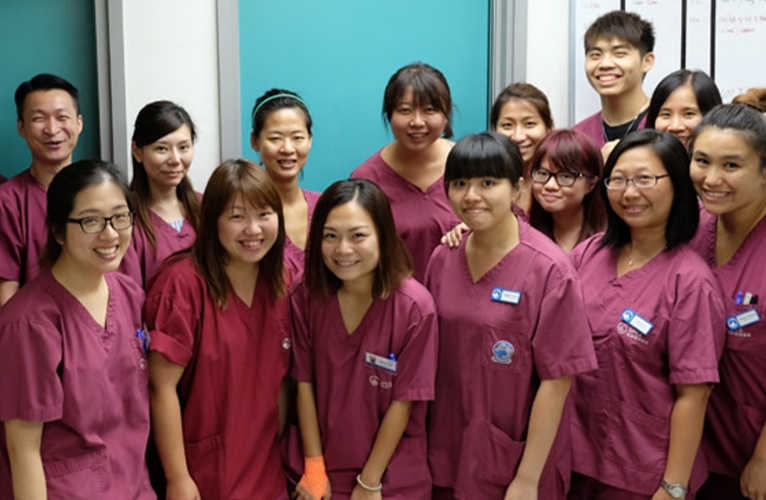 thn-Vet Nurses