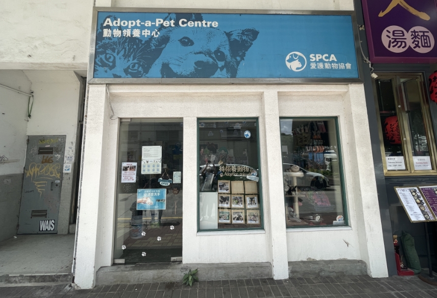 Spca hong hot sale kong centre