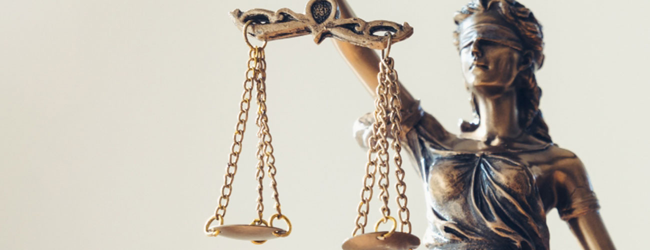 changing-legislation-to-increase-animal-protection changing legislation to increase animal protection