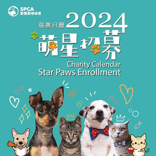 SPCA 2024 Charity Calendar Star Paws Enrollment