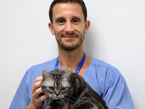 Dr. Enrico Pizzuti