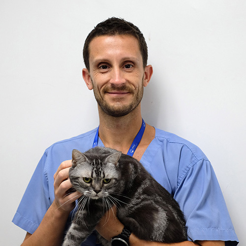 Enrico-Profile-Picture Dr. Enrico Pizzuti