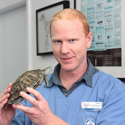 Hugo-Roelof-Profile-Picture Dr. Michael Wilson