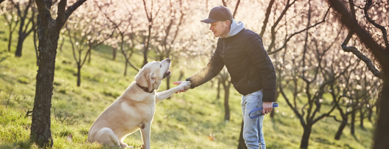 Knowing & Understanding Dogs L
