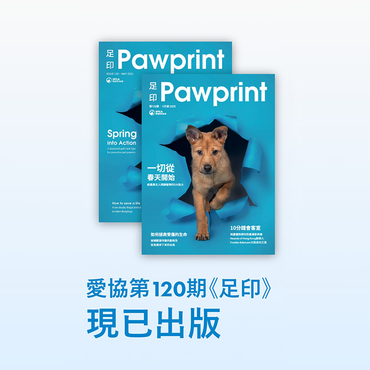 Pawprint Issue 120