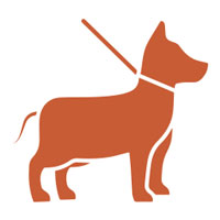 icon_1