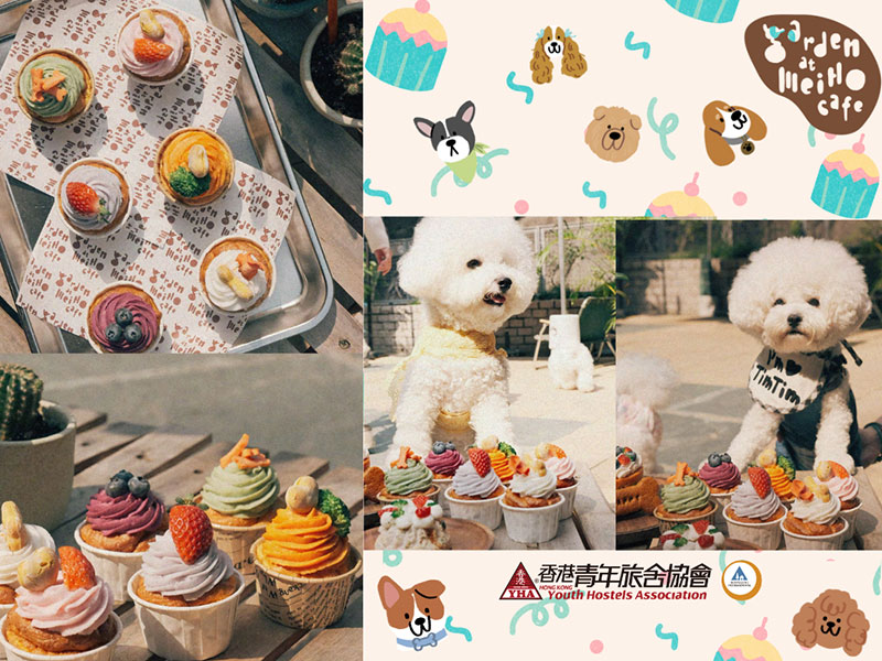 Hong Kong Youth Hostels Association – Free dog cupcake for SPCA members
