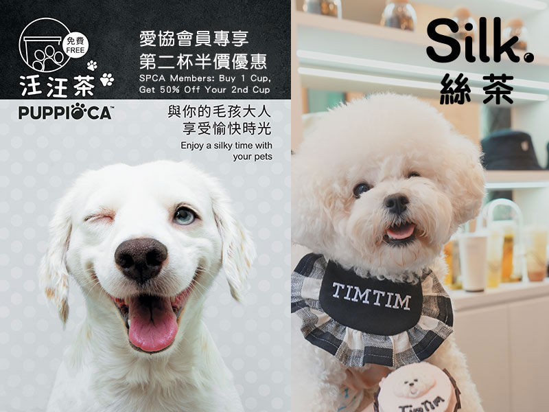 Silk - Exclusive Offer for SPCA Members

