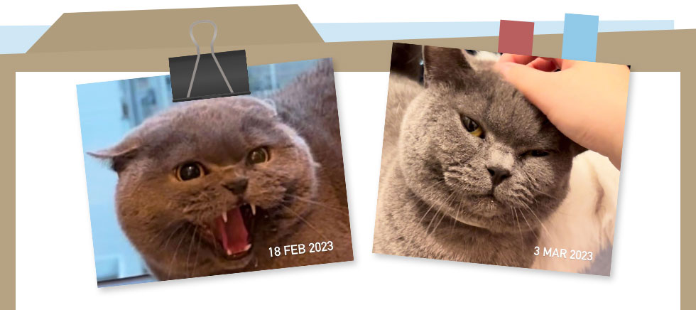 top_banner_BnT-Case-Files