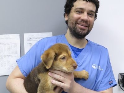 Dr. Matthew Huckle