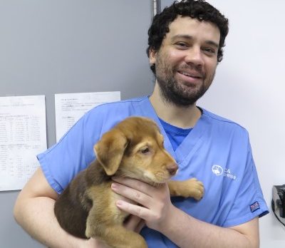 Dr. Matthew Huckle