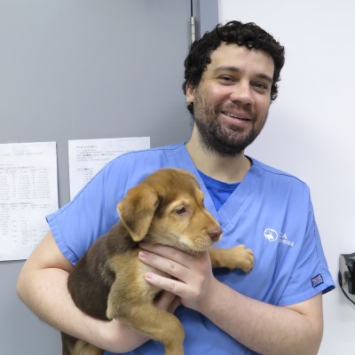 Matt-Huckle-Profile- Dr. Matthew Huckle