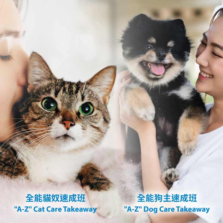 Spca hong hot sale kong centre