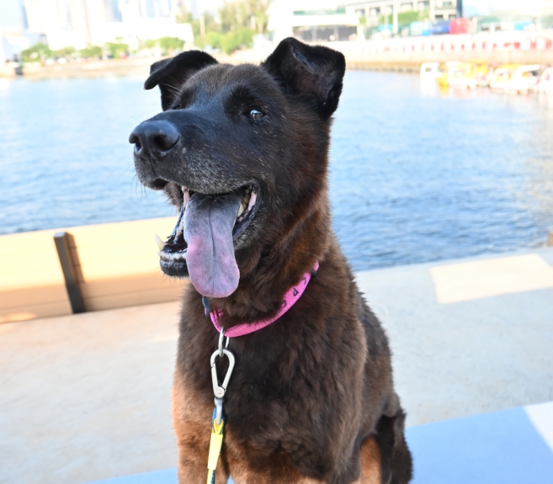Bella PN 225669 14 YO F