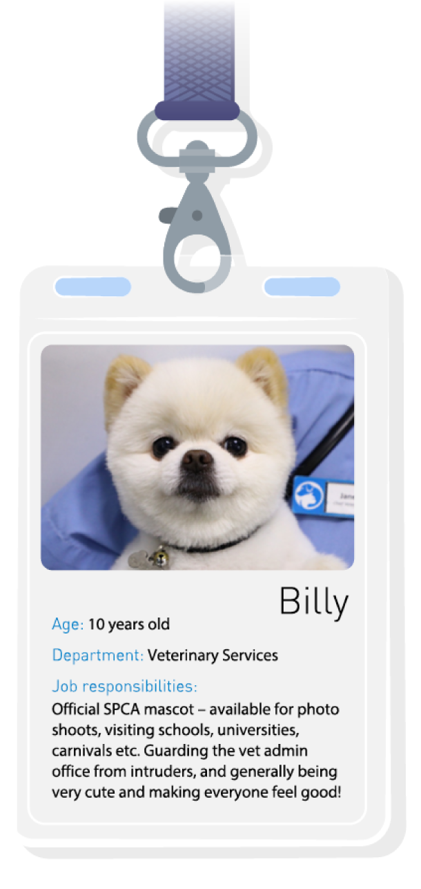 PP120_officepet_badge1