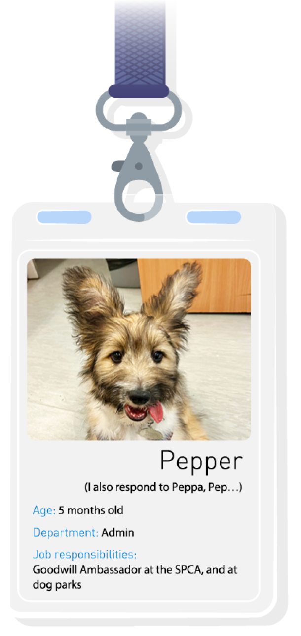 PP120_officepet_badge4