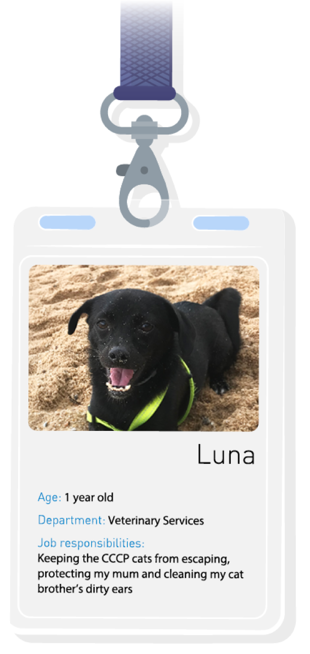 PP120_officepet_badge5