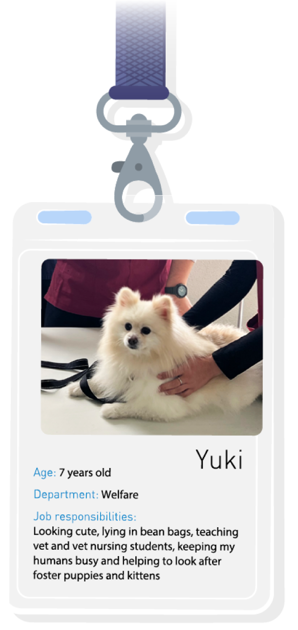 PP120_officepet_badge7