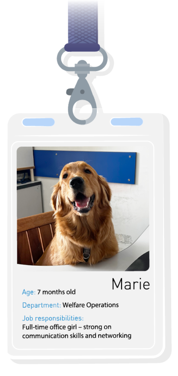 PP120_officepet_badge8