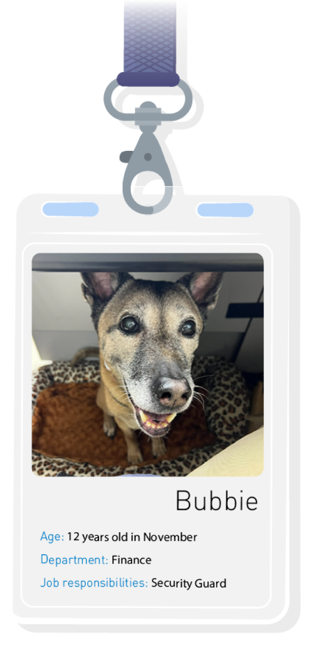 PP120_officepet_badge9