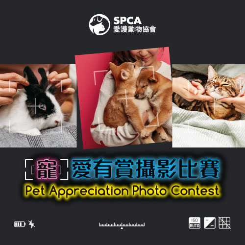 Pet Appreciation Photo Contest