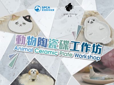 Animal Ceramic Plate