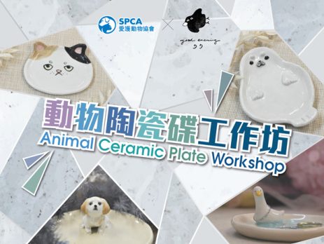 Animal Ceramic Plate