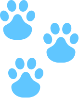 illus-icon 1