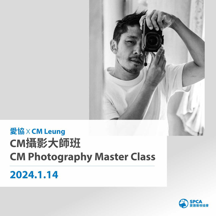 CM-Gallery_class_3