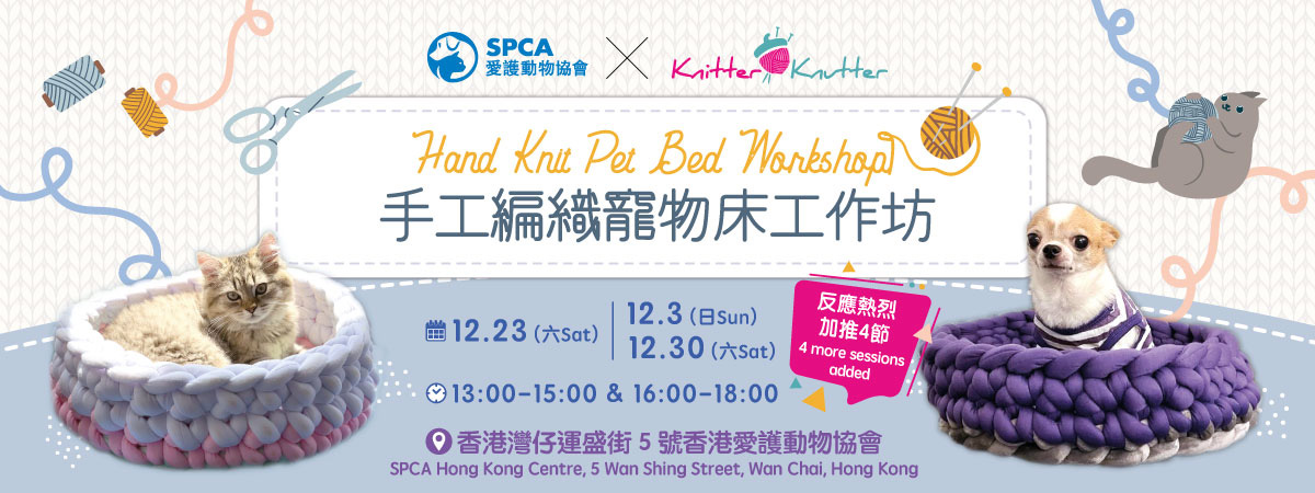 Hand-Knit-Pet-Bed-Workshop_b-1200x450