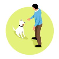 office_dog_training_p2 office_dog_training_p2