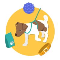 office_dog_training_p3 office_dog_training_p3